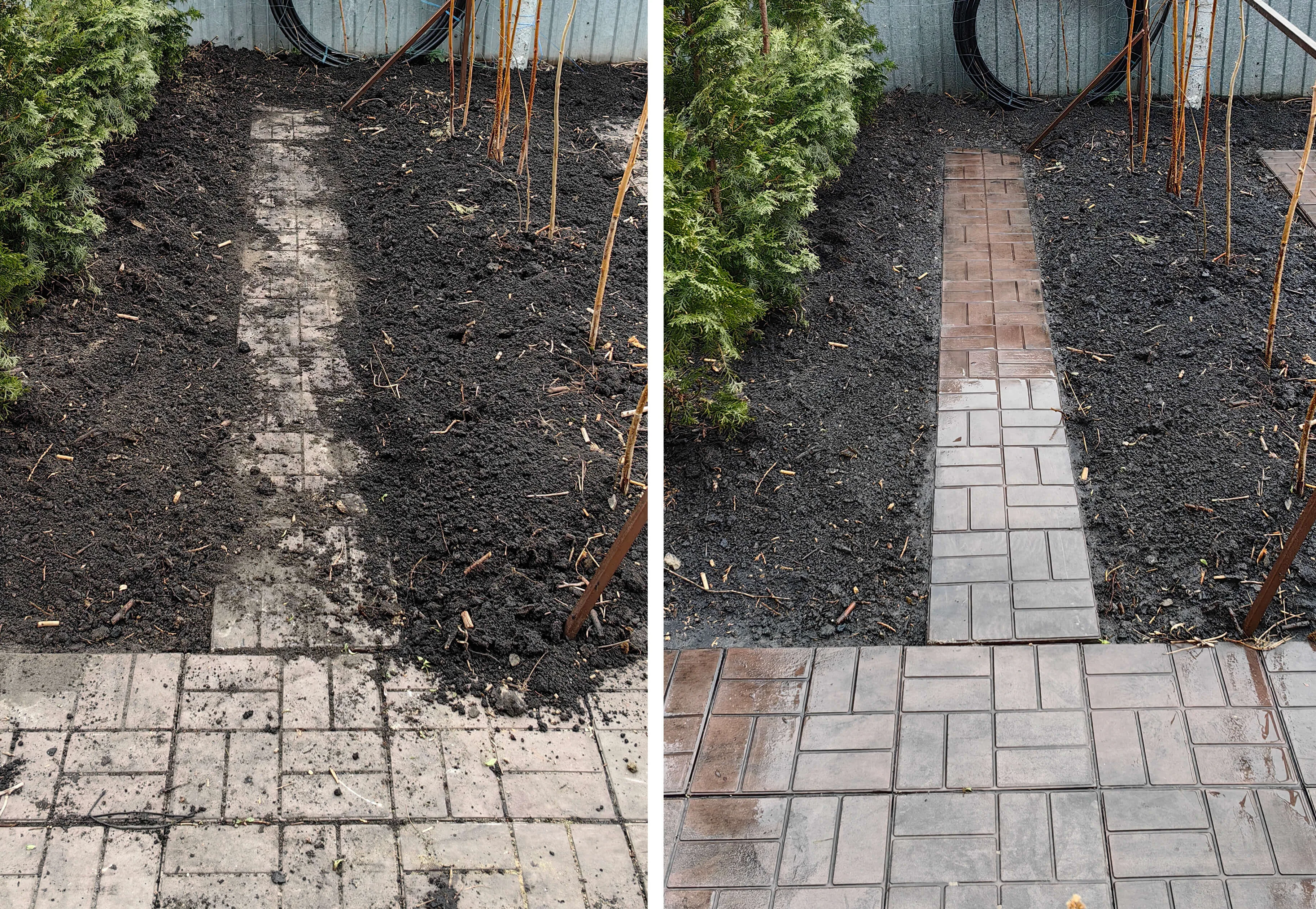 Максим Сергеевич